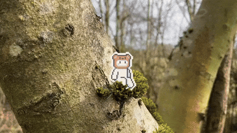 Pixel Art x Real Life